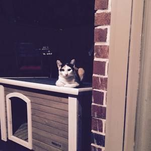 Meet your Posher, Marla